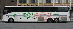 NY Tiger Travel Bus